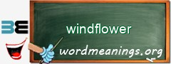 WordMeaning blackboard for windflower